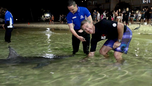 Andy Bichel feeds Wild Dolphins at Tangalooma