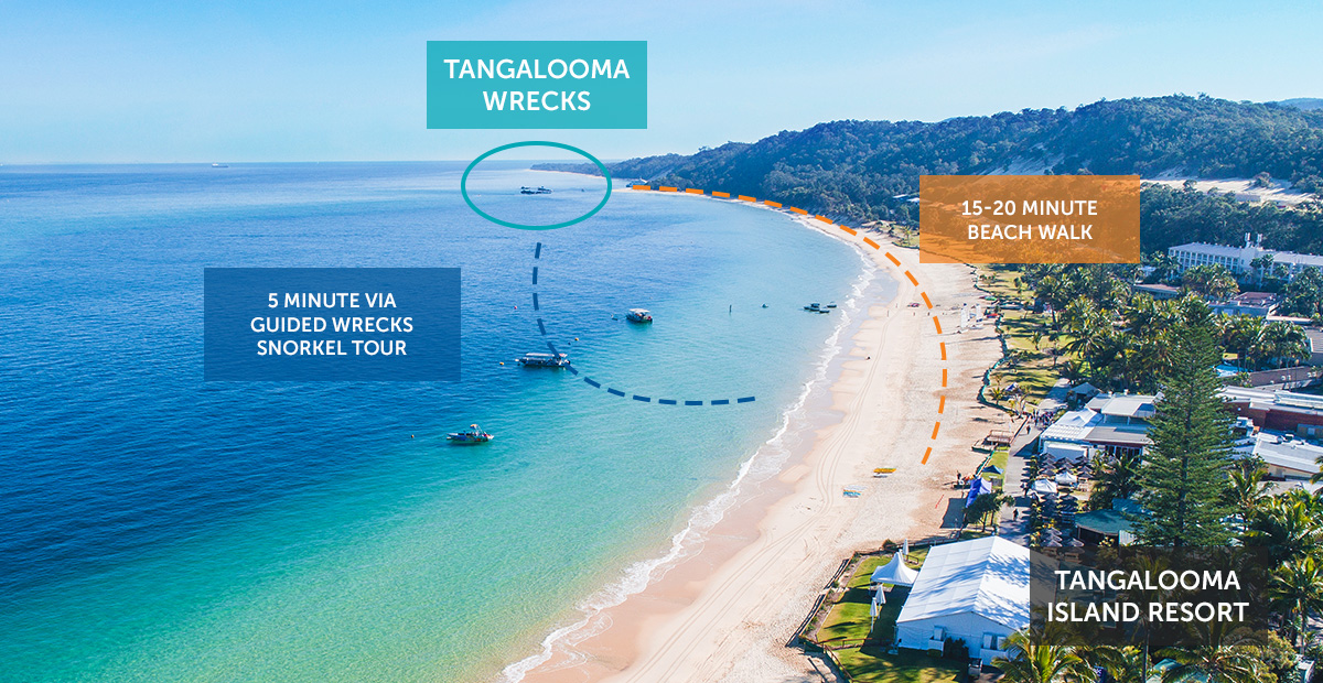 Where are the Tangalooma Wrecks?