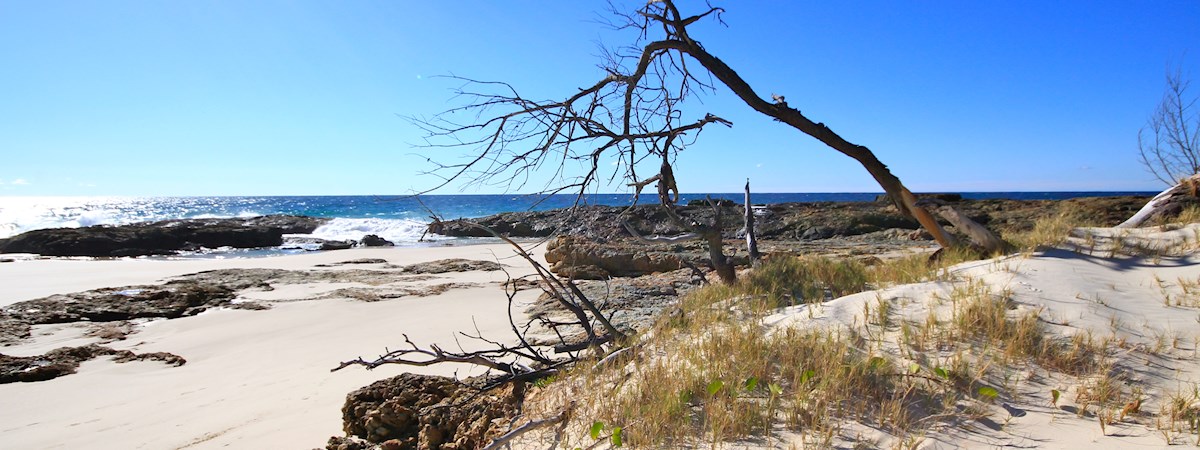 Moreton Island Champagne Pools