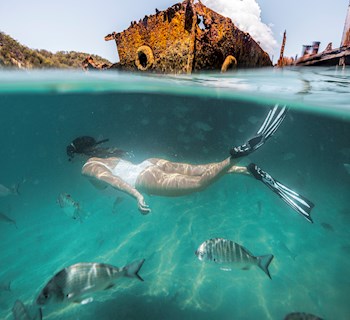 Snorkel The Tangalooma Wrecks Moreton Island Tours Hire snorkel-the-tangalooma-wrecks-moreton-island-tours-hire