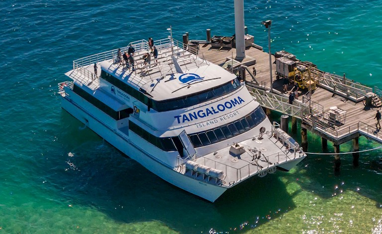 Tangalooma Reef Cat