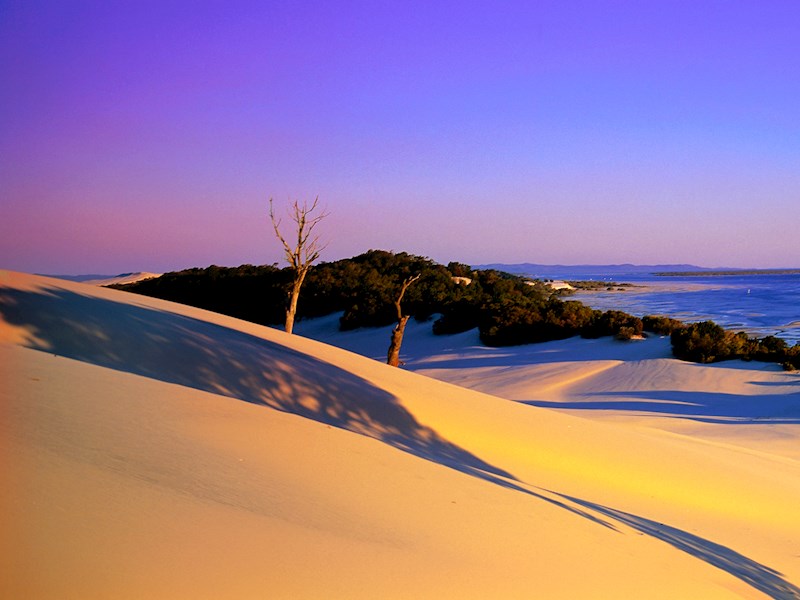 Big Little Sandhills Moreton Island Near Tangalooma Resort