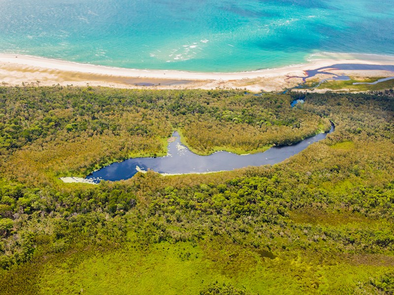 The Gutter Bar Moreton Island Picture Of The Gutter Bar Moreton Island Tripadvisor