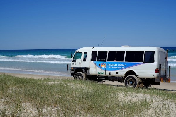 4WD Moreton Island Bus Safaris