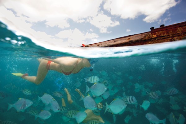 Snorkelling the Tangalooma Wrecks