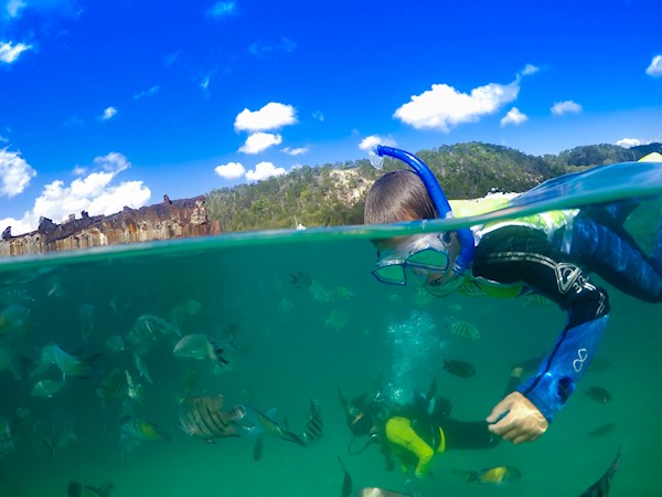 Snorkel the Tangalooma Wrecks