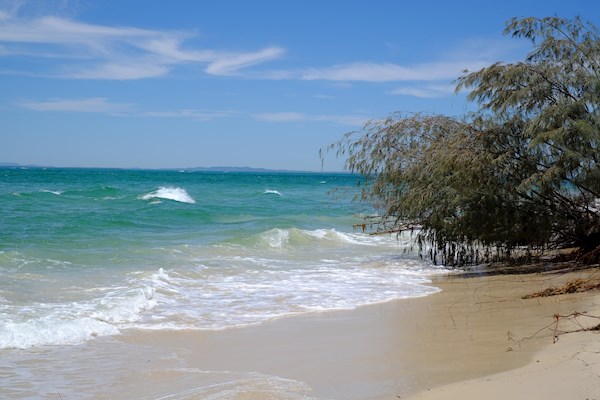 The Gutter Bar Moreton Island Picture Of The Gutter Bar Moreton Island Tripadvisor