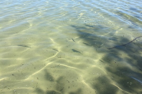 Clear waters at Mirapool Lagoon