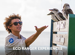 Eco Ranger Experiences
