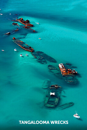 Tangalooma Wrecks