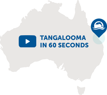 Tangalooma Island Resort 60 second Overview