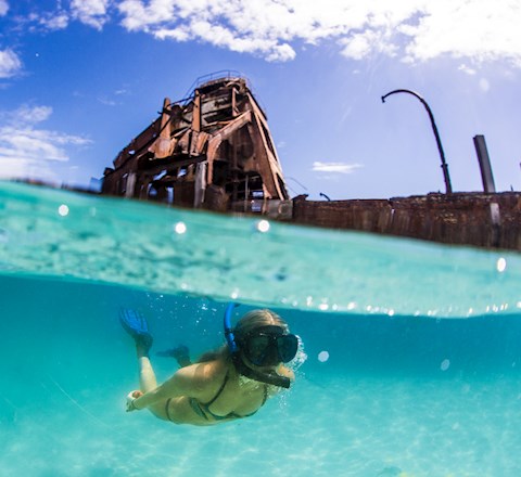 moreton island snorkel day trip