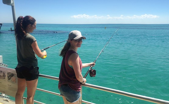 Fishing tour deals